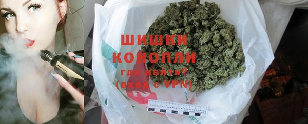 мдпв Богородицк