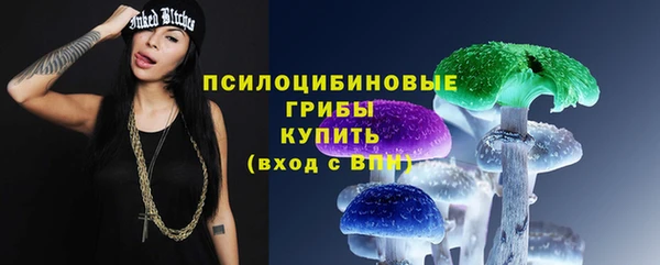 дмт Богданович