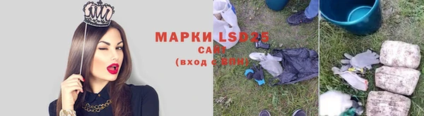 дмт Богданович