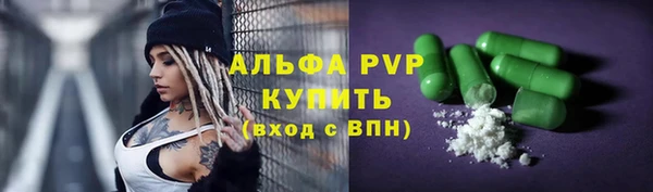 дмт Богданович