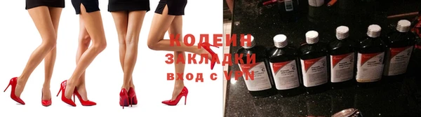 дмт Богданович