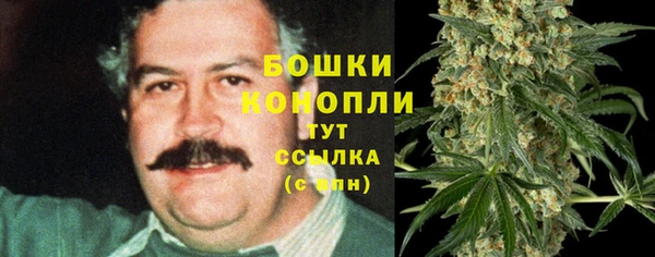 дмт Богданович