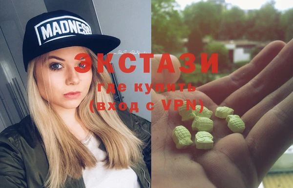дмт Богданович