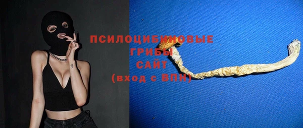 индика Новодвинск