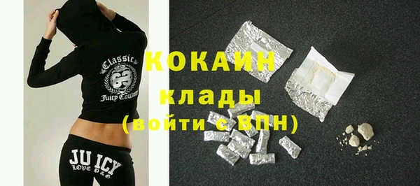 дмт Богданович
