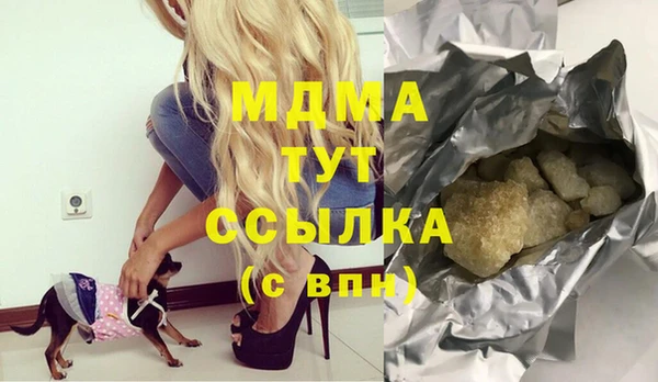дмт Богданович